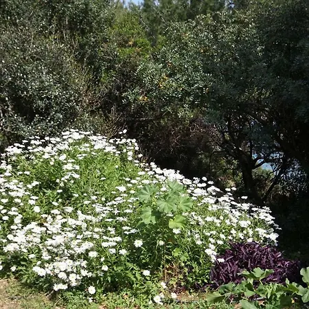 아파트 By The Sea Cove Saplunara, Mljet - 402